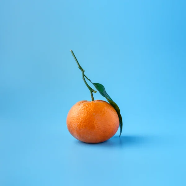 Navel Orange Bag 4 lb — Fresh Produce at Peasley Store